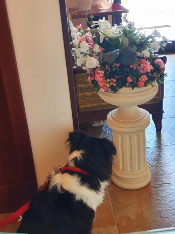Griko Country Hotel レッチェ エクステリア 写真